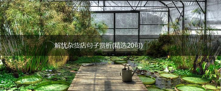解忧杂货店句子赏析(精选20句),第1张
