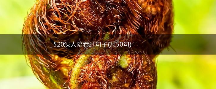 520没人陪着过句子(共50句),第1张
