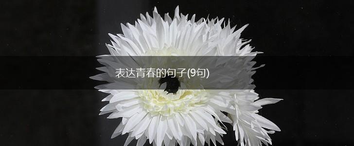 表达青春的句子(9句),第1张