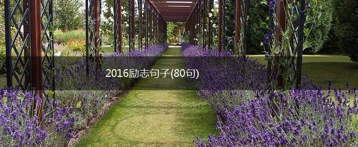 2016励志句子(80句),第1张
