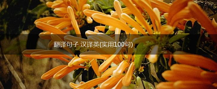 翻译句子 汉译英(实用100句),第1张