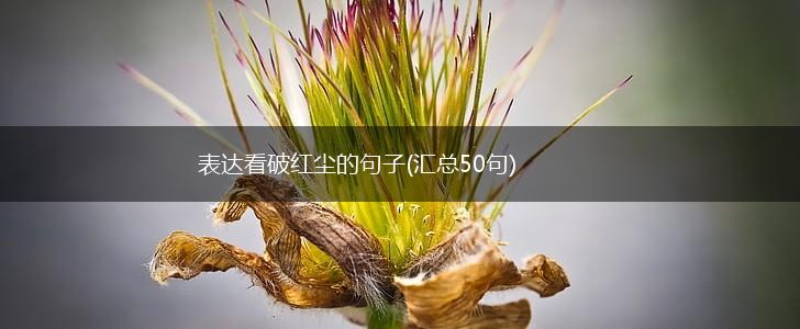 表达看破红尘的句子(汇总50句),第1张
