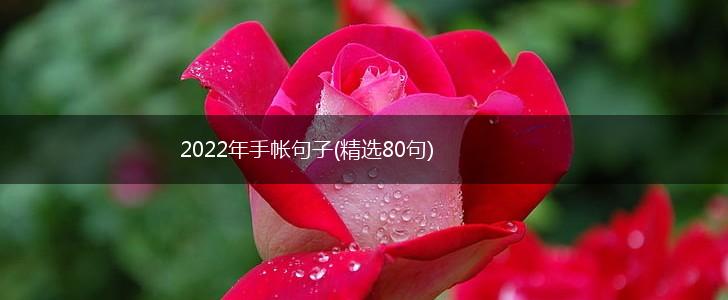 2022年手帐句子(精选80句),第1张