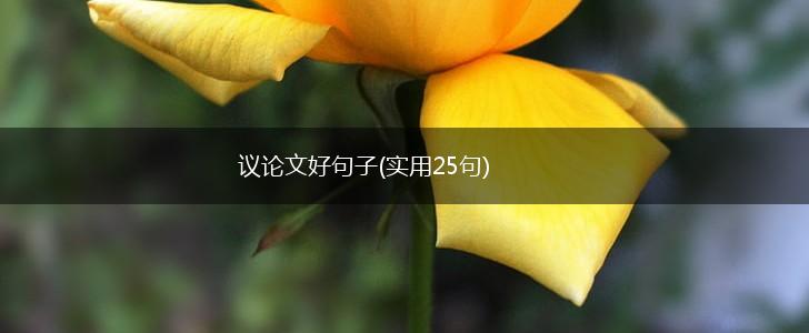 议论文好句子(实用25句),第1张