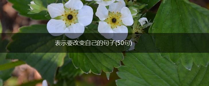 表示要改变自己的句子(50句),第1张