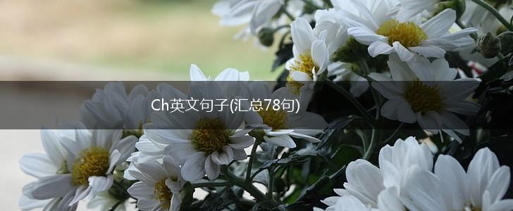 Ch英文句子(汇总78句),第1张