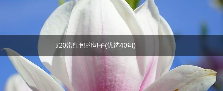 520带红包的句子(优选40句),第1张