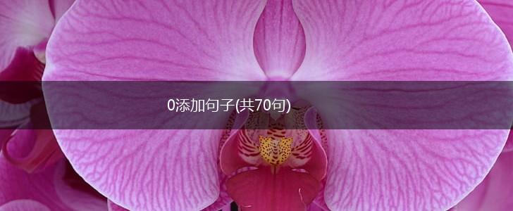 0添加句子(共70句),第1张