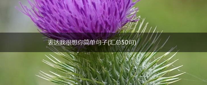 表达我很想你简单句子(汇总50句),第1张