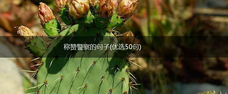 称赞警察的句子(优选50句),第1张