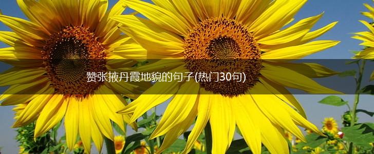 赞张掖丹霞地貌的句子(热门30句),第1张