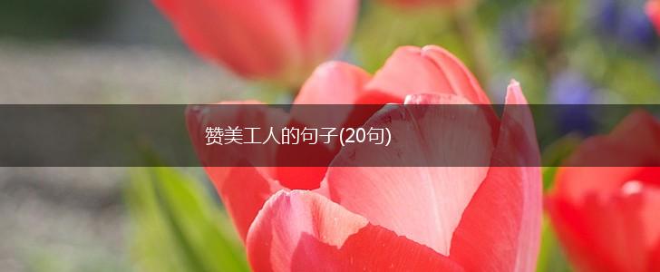 赞美工人的句子(20句),第1张