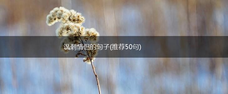 讽刺情侣的句子(推荐50句),第1张