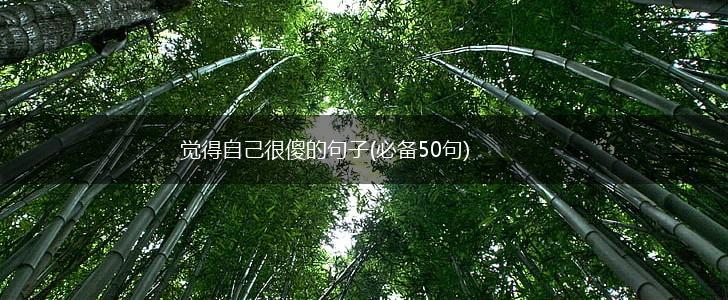 觉得自己很傻的句子(必备50句),第1张