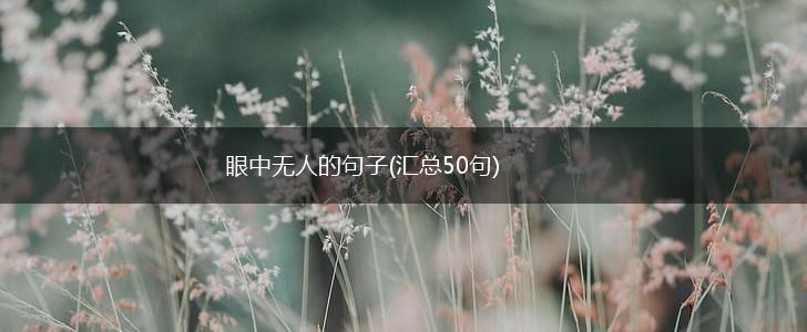 眼中无人的句子(汇总50句),第1张