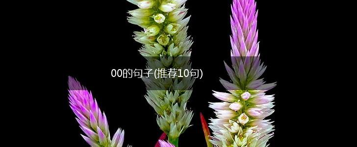 00的句子(推荐10句),第1张