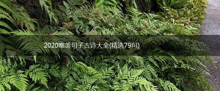 2020唯美句子古诗大全(精选79句),第1张