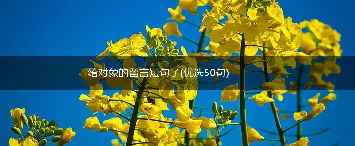 给对象的留言短句子(优选50句),第1张