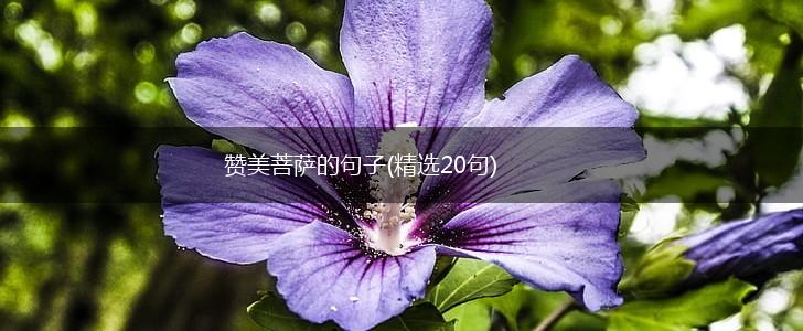 赞美菩萨的句子(精选20句),第1张