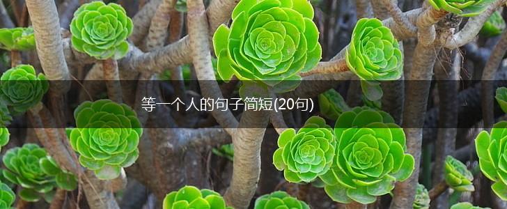 等一个人的句子简短(20句),第1张