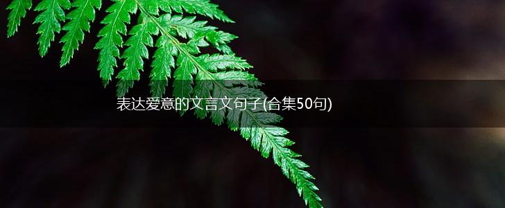 表达爱意的文言文句子(合集50句),第1张