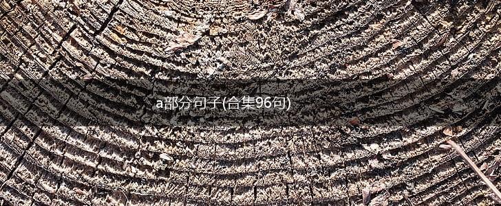 a部分句子(合集96句),第1张