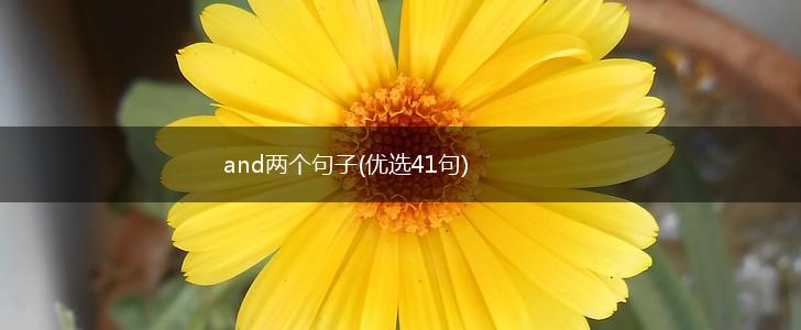 and两个句子(优选41句),第1张