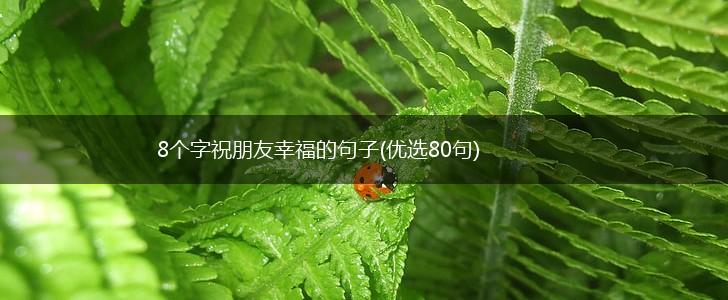 8个字祝朋友幸福的句子(优选80句),第1张