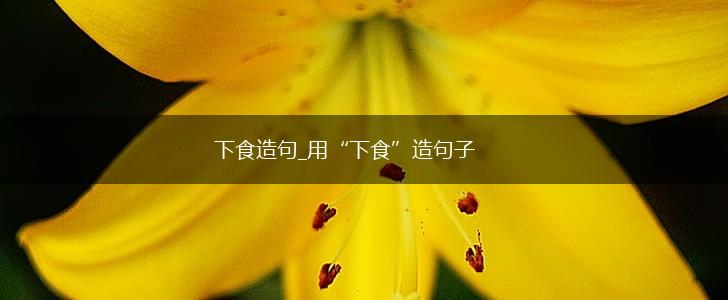 下食造句_用“下食”造句子,第1张