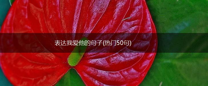 表达我爱他的句子(热门50句),第1张
