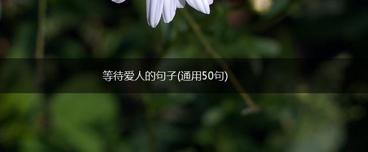 等待爱人的句子(通用50句),第1张
