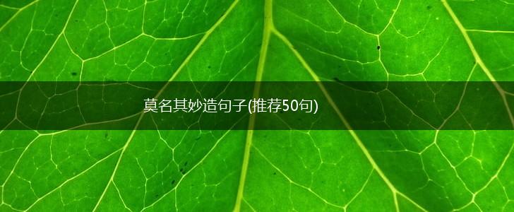 莫名其妙造句子(推荐50句),第1张