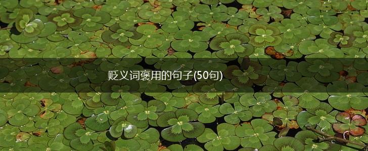 贬义词褒用的句子(50句),第1张