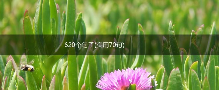 620个句子(实用70句),第1张