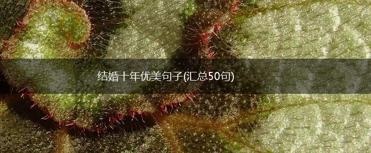 结婚十年优美句子(汇总50句),第1张