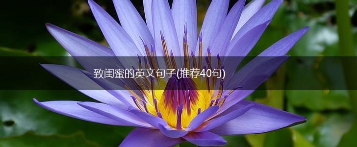 致闺蜜的英文句子(推荐40句),第1张