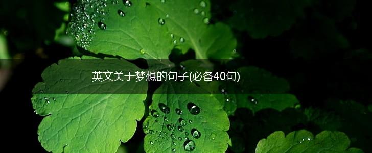 英文关于梦想的句子(必备40句),第1张