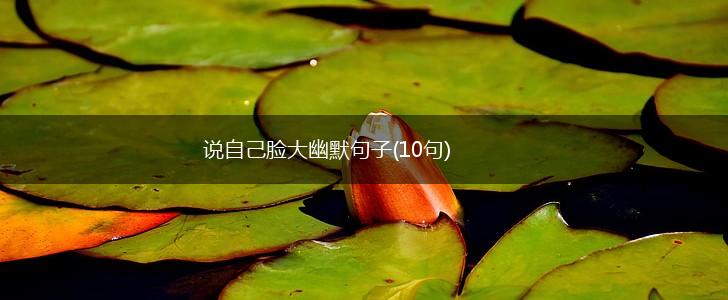 说自己脸大幽默句子(10句),第1张