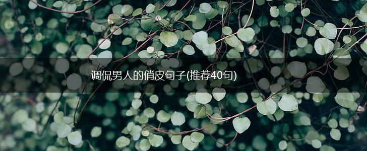 调侃男人的俏皮句子(推荐40句),第1张