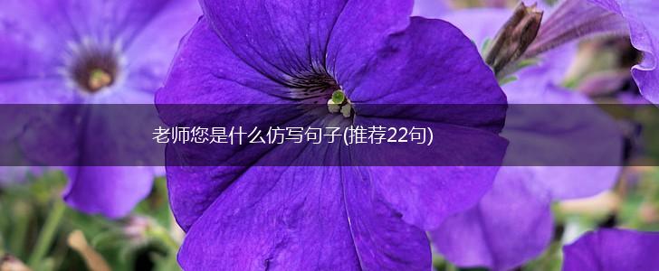 老师您是什么仿写句子(推荐22句),第1张