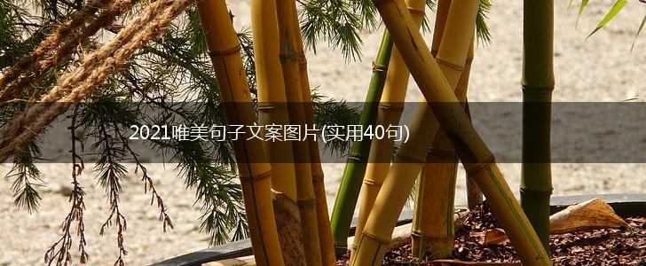 2021唯美句子文案图片(实用40句),第1张