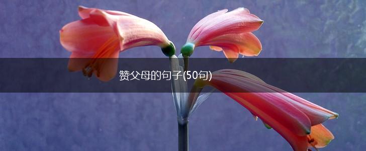 赞父母的句子(50句),第1张