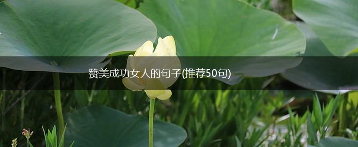 赞美成功女人的句子(推荐50句),第1张