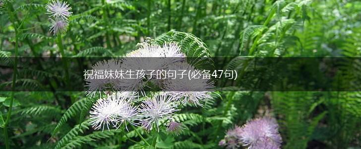 祝福妹妹生孩子的句子(必备47句),第1张