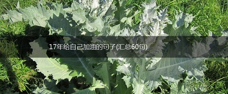 17年给自己加油的句子(汇总60句),第1张