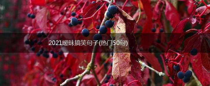 2021暧昧搞笑句子(热门50句),第1张 2021暧昧搞笑句子(热门50句),第1张