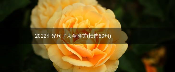 2022阳光句子大全唯美(精选80句),第1张