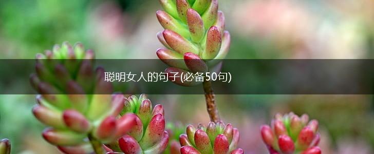 聪明女人的句子(必备50句),第1张