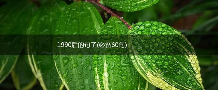 1990后的句子(必备60句),第1张