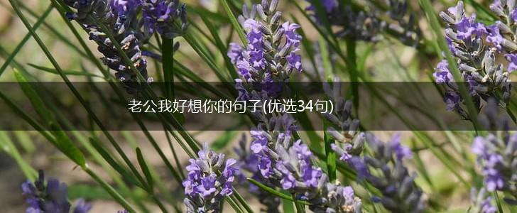 老公我好想你的句子(优选34句),第1张